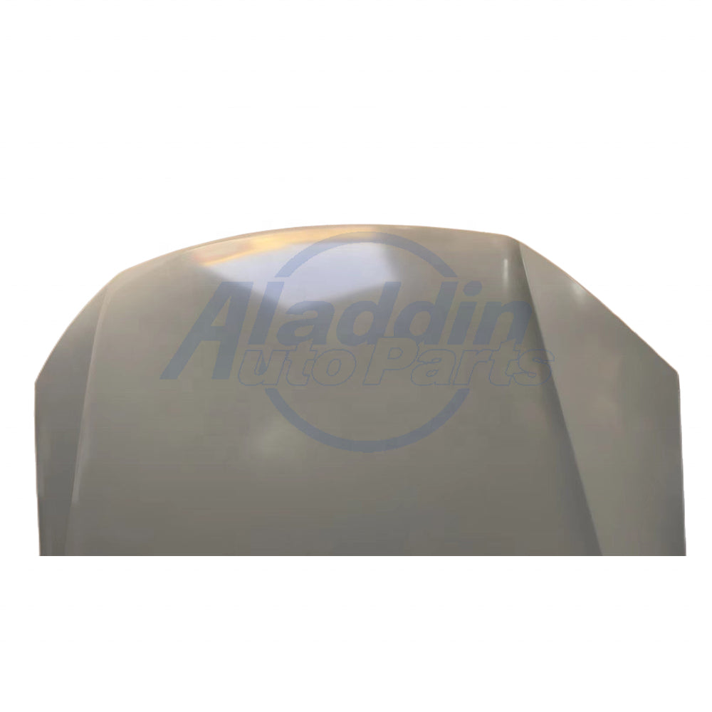 hood assembly For great wall wingle 5 OEM 8402000AP24AA 8402000-P24A