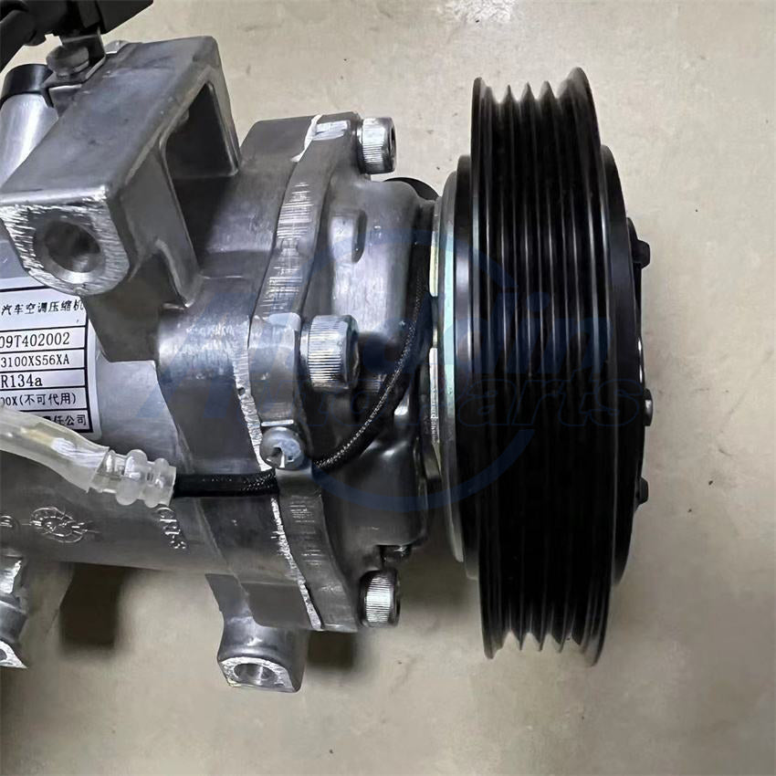 A/C Compressor For Haval H6 M2 M4 GWM C30 C50 OEM 8103100-M18 8103200-S16